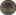 fce7x.jpg (96232 bytes)